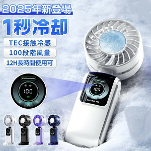 @ nfBt@ É ^ 2025 啗 100iK 莝 ^ ˊO gѐ@ ߓd y Type-c[d pv[g GAR LE