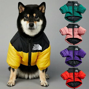   ~ S~5XL  g h _EWPbg t@Xi[ ₷  hbOEFA ^ ^ ~ U  IV ȒPE AE^[ hbOtFCX THE DOG FACE j