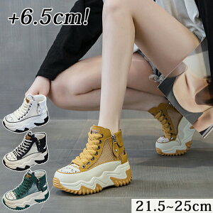 Xj[J[T_  ėp fB[X 6.5cmq[ X|[cT_ nCJbg X|T gUP ~[ V[Y C  RtH[g ʋC ₷ r y ؍t@bV