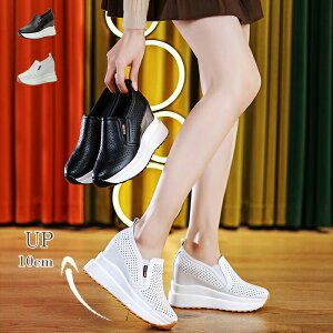 C\[  Xj[J[ Xb| fB[X 10cmq[ gup ʋC  t H gAbv C V[Y EH[LO r q[Abv JWA nCJbg ʋ  