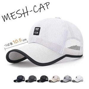 Lbv Xq bV Y fB[X  Β uv 싅X X|[c St