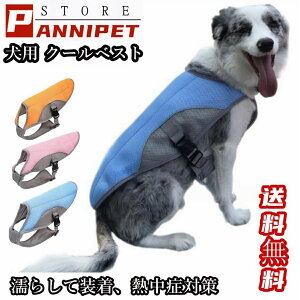 �N�[���x�X�g COOL�x�X�g ���̕� ��p �x�X�g ���p�o���J�� ���p�i ���p�x�b�h ���p�z�b�g�J�[�y�b�g ���p �⊴ ���U���p �M���Ǒ΍�O�b�Y ���悢�Ђ��芴 ������