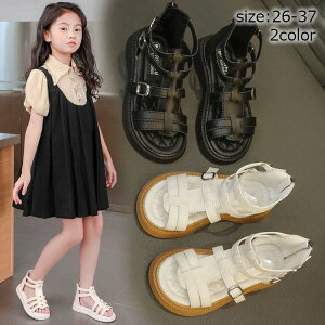 yRXpōzqT_ OfBG[^[T_ qǂC t T_  AC{[ LbY C LbYV[Y  tH[}C w Ǝ sAm\ ₷ 