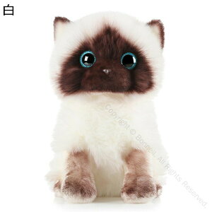 ʂ AlR L ё { VM[  p   YQp ߋ  ӂ 􂦂 _炩 G 炩 j MtgɍœKȉ