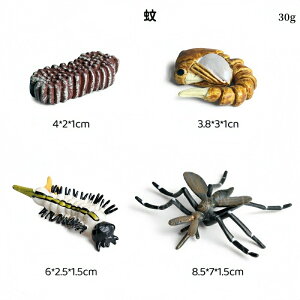 ̐TCNtBMA A͌^  qwKߋ ̐ߒ~j`A͌^  c   mߋ ̃CtTCN u  ct ۈ牀 wZ Ȋw