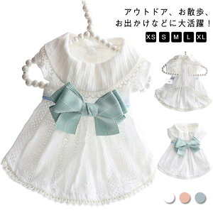  hbOEFA  pEFA ybgEFA XJ[g s[X hX t [X { tp ėp  t  ^p   U jbg  Ckp 񂿂