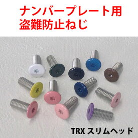 楽天市場 ナンバープレート 封印 軽自動車 花 ガーデン Diy の通販