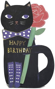 yIG^x[zyo[Xf[zo[Xf[J[h G|2398 Black cat |  pi LOi p[eB[ o[Xf[ a a Ԃ q 킢  Ao  v[