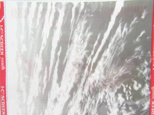yToozIEC CXg XN[[X Y-1592 |  [ ItBXpi pi pi Xe[Vi[ Ɩp LOi 蕨 Mtg j y R~bNpi fUC XPb` 