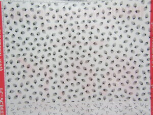 yToozIEC CXg XN[[X Y-1656 |  [ ItBXpi pi pi Xe[Vi[ Ɩp LOi 蕨 Mtg j y R~bNpi fUC XPb` 