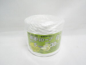 y50ZbgzySFJzבЂ 5mmx30m |  [ ItBXpi pi pi Xe[Vi[ Ɩp LOi 蕨 Mtg j AE w     d E