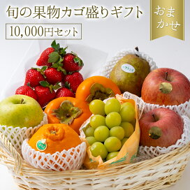 fruits_kago_01.jpg?fitin=272:272