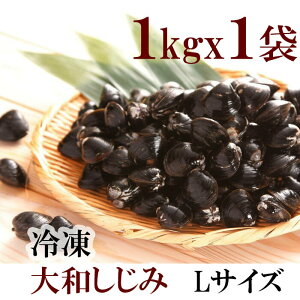 Ⓚ@a݁@LTCY@1kg × 1܁@ⓀVW~