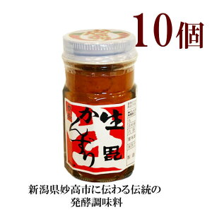 񂸂 (47g)@10 񂸂 JY h h y  炵  Ysgp Y 񂸂 JY h