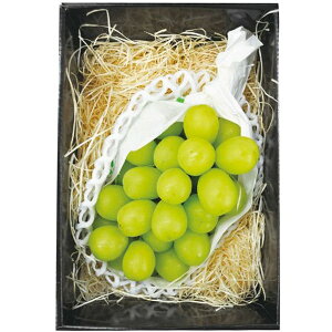 Ε  ʕ Mtg t[c 쌧Y VC}XJbg 1[ 400g }XJbg 炲ƐHׂ Ԃǂ uhE     O Hi Ε 2025 ΕM