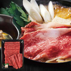 Ε   a Mtg ēݖ쉮 ݖa ԗp Ԑg 600g Zbg lߍ킹  Ԑg Y Ă Ԃ  Hi O Ε ~Mtg 2025 蕨