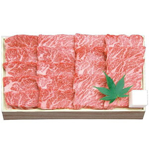 Ε  ߍ]  a Mtg Jr ē Ă 300g Zbg lߍ킹 ㎿  Y ~  O Hi Ⓚ Ε 2025 蕨 Ԃ ~Mtg A 