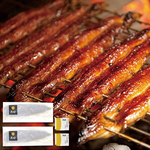 お歳暮 送料無料 惣菜 魚介 お歳暮 ギフト 鰻楽 うなぎ蒲焼 長焼 2尾 セット 詰め合わせ 九州産 ウナギ 鰻 蒲焼 炭火焼 高級 真空パック お取り寄せ グルメ 食品 冷凍 御歳暮 2025ギフト 贈り物