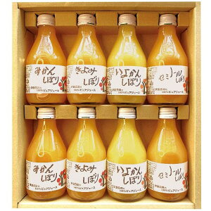 _őSz|CgҌ^ Ε  W[X Mtg t[cW[X ɓ_ ʏ`100 sAW[X 8{ Zbg lߍ킹 ݂ ~J k r  Hi O Ε ~