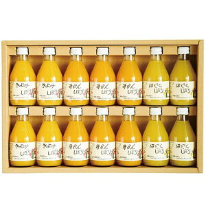 Ε  W[X Mtg t[cW[X ɓ_ ʏ`100 sAW[X 14{ Zbg lߍ킹 ݂ ~J k r  Hi O Ε 2025 ΕMtg 蕨 