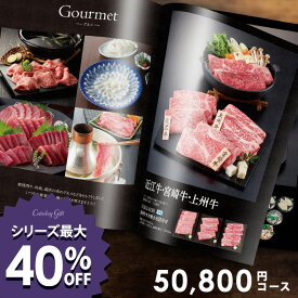 カタログギフト 出産 内祝い お返し グルメ ギフト 送料無料 50800円コース おしゃれ グルメカタログギフト 入学祝い 出産内祝い 結婚内祝い 新築祝い 結婚祝い 出産祝い 香典返し 快気祝い 人気 お礼 母の日 プレゼント ははの日 5万円 50000円 【メール便】