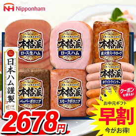 ＼楽天1位!!／【豪華★7種詰合せ】 お中元 夏ギフト 早割 ハム ギフト セット 送料無料 ウインナー ソーセージ 詰め合わせ 日本ハム 本格派ギフト 中元 御中元 暑中見舞い お中元ギフト 食品 食べ物 お取り寄せ グルメ 肉加工品 NH-349