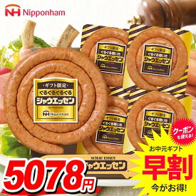お中元 夏ギフト 送料無料 早割 ウインナー ソーセージ ギフト セット ハム 詰め合わせ 詰合せ 日本ハム シャウエッセンセット ギフト限定 中元 御中元 暑中見舞い お中元ギフト 食品 食べ物 グルメ お取り寄せグルメ 肉加工品 SEG-500