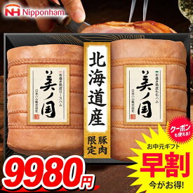 お中元 夏ギフト 送料無料 早割 ハム ギフト セット ロースハム ももハム 詰め合わせ 詰合せ 日本ハム 美ノ国 美ノ国ギフト 北海道 プレミアム 中元 御中元 暑中見舞い お中元ギフト 食品 食べ物 グルメ お取り寄せグルメ 肉加工品 UKH-102