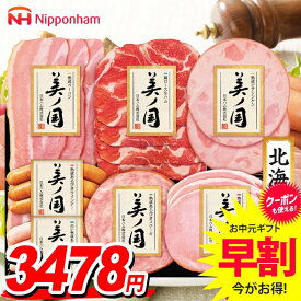 お中元 夏ギフト 送料無料 早割 ハム ギフト セット ウインナー ソーセージ 生ハム 詰め合わせ 詰合せ 日本ハム 美ノ国 美ノ国ギフト 北海道 プレミアム 中元 暑中見舞い お中元ギフト 食品 食べ物 グルメ お取り寄せグルメ 肉加工品 UKH-38