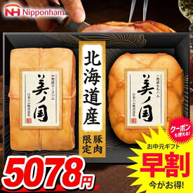 お中元 夏ギフト 送料無料 早割 ハム ギフト セット ロースハム ももハム 詰め合わせ 詰合せ 日本ハム 美ノ国 美ノ国ギフト 北海道 プレミアム 中元 御中元 暑中見舞い お中元ギフト 食品 食べ物 グルメ お取り寄せグルメ 肉加工品 UKH-55