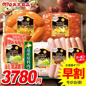 お歳暮 御歳暮 送料無料 早割 ハム ギフト セット ウインナー ソーセージ 生ハム 詰め合わせ 詰合せ 丸大食品 丸大ハム 北海道 A 歳暮 冬ギフト お歳暮ギフト 食品 食べ物 グルメ お取り寄せ