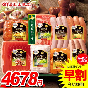 お歳暮 御歳暮 送料無料 早割 ハム ギフト セット ウインナー ソーセージ 生ハム 詰め合わせ 詰合せ 丸大食品 丸大ハム 北海道 B 歳暮 冬ギフト お歳暮ギフト 食品 食べ物 グルメ お取り寄せ