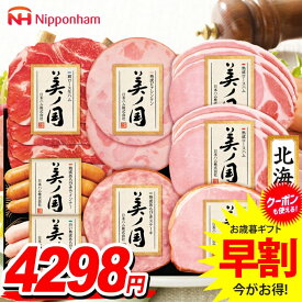 お歳暮 御歳暮 送料無料 早割 ハム ギフト セット ロースハム ウインナー ソーセージ 生ハム 詰め合わせ 日本ハム ニッポンハム 美ノ国 北海道 プレミアム 歳暮 冬ギフト 食品 食べ物 お取り寄せ グルメ 美の国 美しの国 UKH-48