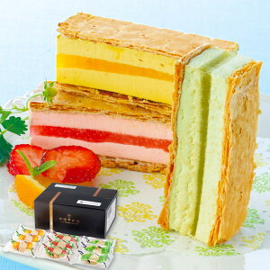 Ε  ACXN[ Ε Mtg D ~tB[ACX 3 9 Zbg lߍ킹 t[c ACX XC[c َq  O Hi Ε 2025Mtg 