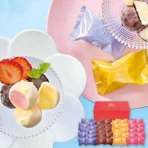 お歳暮 送料無料 アイスクリーム お歳暮 ギフト 銀座京橋 レ ロジェ エギュスキロール ショコラアイスボール 40個 セット 詰め合わせ アイス スイーツ 個包装 グルメ 食品 御歳暮 2025ギフト