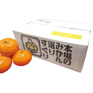 お歳暮 送料無料 フルーツ ギフト 愛媛産 真穴みかん Lサイズ 2.8kg セット 詰め合わせ 果物 果実 みかん ミカン 柑橘 国産 名産品 お取り寄せ グルメ 食品 食べ物 御歳暮 2025 お歳暮ギフト 贈り