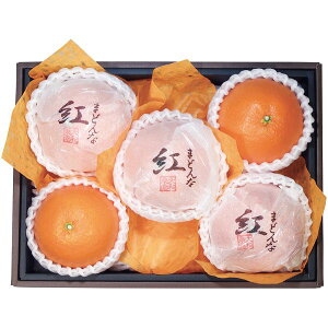 お歳暮 送料無料 フルーツ ギフト ダイワ果園 愛媛 紅まどんな みかん 約1.1kg 4〜6個 セット 詰め合わせ 果物 果実 ミカン 柑橘 国産 お取り寄せ グルメ 食品 食べ物 御歳暮 2025 お歳暮ギフト