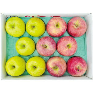 お歳暮 送料無料 フルーツ お歳暮 ギフト 青森 サンふじ りんご & 王林 3kg 9〜11玉 箱 セット 詰め合わせ 果物 果実 リンゴ 林檎 名産品 お取り寄せ グルメ 食品 食べ物 御歳暮 2025ギフト 贈り物