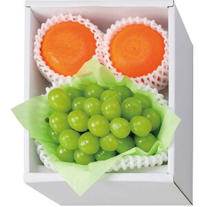 Ε  t[c Mtg VC}XJbg 1[ 500g g܂ǂ 2 500g Zbg lߍ킹 ʕ ʎ Ԃǂ ݂  O Hi Hו Ε 2025 ΕMtg 