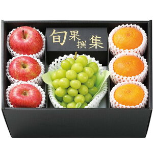 Ε  t[c Mtg VC}XJbg 1[ ӂ 3 g܂ǂ 3 Zbg lߍ킹 { ʕ ʎ Ԃǂ  S ݂ O Hi ① Ε 2025 ΕMt