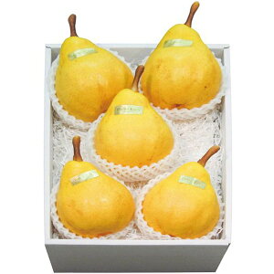 お歳暮 送料無料 フルーツ お歳暮 ギフト 新潟産 ルレクチェ 洋梨 5〜6玉 約1.2kg セット 詰め合わせ 洋なし 希少 果物 果実 旬 産地直送 グルメ 食品 食べ物 常温 御歳暮 2025ギフト 贈り物 お返