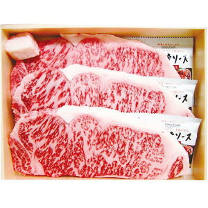 _őSz|CgҌ^ Ε  ꋍ  a Mtg ɌT[CXe[L 250g 3 Zbg Xe[L lߍ킹 ~   O Hi Hו Ⓚ 