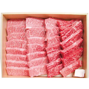 Ε  ꋍ  a Mtg Jrē 400g Zbg lߍ킹 Jr Ă Y ~    O Hi Hו Ⓚ Ε 2025 ΕMtg 