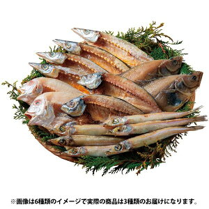 お歳暮 送料無料 海鮮 魚介 海産物 お歳暮 ギフト 山陰 海鮮 一夜干し セット 詰め合わせ れんこ鯛 あじ開き 干物 ご飯のお供 おつまみ お取り寄せ グルメ 食品 食べ物 冷凍 御歳暮 2025ギフト