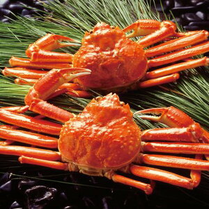 お歳暮 送料無料 海鮮 魚介 海産物 お歳暮 ギフト ボイル ずわいがに姿 450g 2尾 セット 詰め合わせ カニ 蟹 かに ズワイガニ 高級 お取り寄せ グルメ 食品 食べ物 冷凍 御歳暮 2025ギフト 贈り物