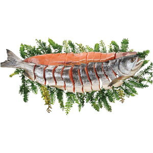 Ε  CN  CY Mtg kC Y ؂g RЂ P 3kg`3.3kg  Zbg lߍ킹   Ђ  O Hi Ⓚ Ε 2025 ΕMtg 蕨