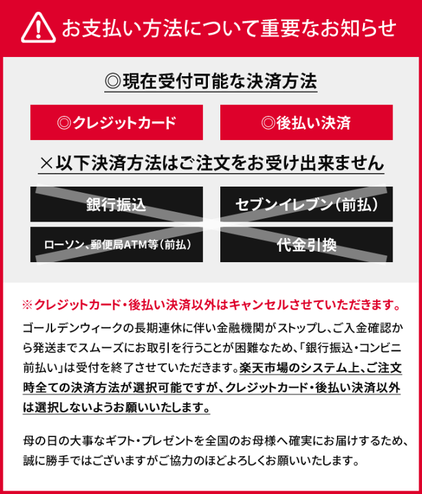 楽天市場 クレジットカード 後払い決済のみ受付可 母の日 プレゼント 母の日ギフト 送料無料 カーネーション 鉢植え 4号鉢 花 ギフト 早割 鉢花 花鉢 21 人気 ランキング おしゃれ 限定 ジャパンギフト
