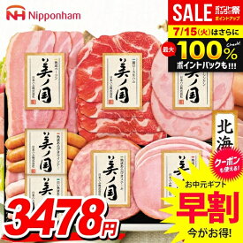 お中元 夏ギフト 送料無料 早割 ハム ギフト セット ウインナー ソーセージ 生ハム 詰め合わせ 詰合せ 日本ハム 美ノ国 美ノ国ギフト 北海道 プレミアム 中元 暑中見舞い お中元ギフト 食品 食べ物 グルメ お取り寄せグルメ 肉加工品 UKH-38