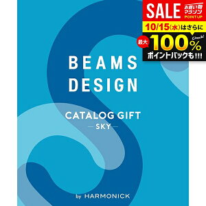 _őSz|CgҌ^ J^OMtg BEAMS DESIGN Sky r[X fUC XJC  j Ԃ  5000~ Mtg oYj oYj j j TԂ a
