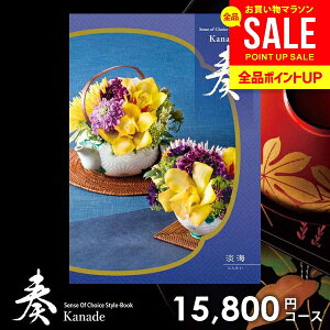 カタログギフト 内祝い お返し 送料無料 奏 かなで 淡海 お歳暮 ギフト おしゃれ グルメカタログギフト 出産内祝い 結婚内祝い 新築祝い 結婚祝い 出産祝い 出産お祝い 挨拶 快気祝い 名入れ